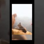 Funny cat#pets #cats #pet cute moments #pet funny moments #people and pets #animals #fpy #foryou