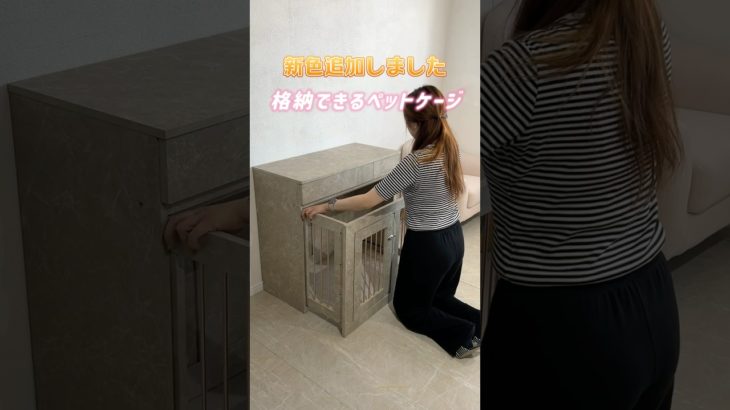 すむペットケージ【JOLI】#犬 #犬のいる暮らし #おすすめ #家具 #ルームツアー #インテリア #サークル #ペットケージ #vlog #shorts #short