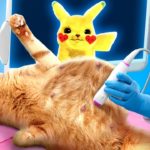 Pregnant With Pokemon 💥 Hacks and Gadgets For Pet Owners 😻