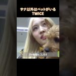 サナ以外はペットがいるTWICE