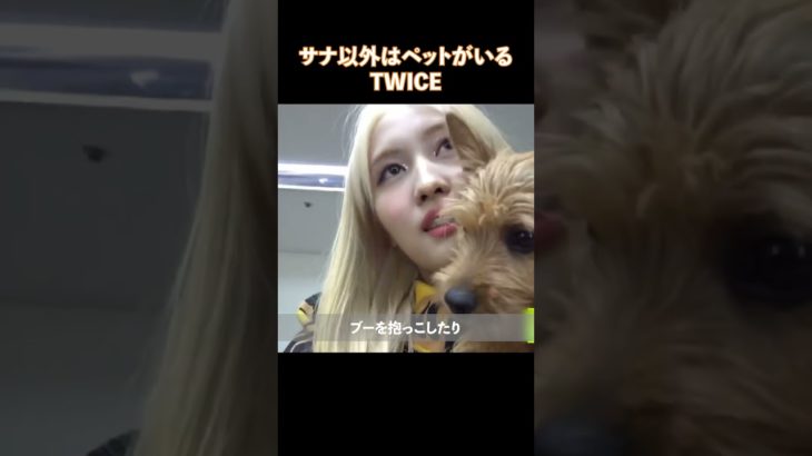サナ以外はペットがいるTWICE