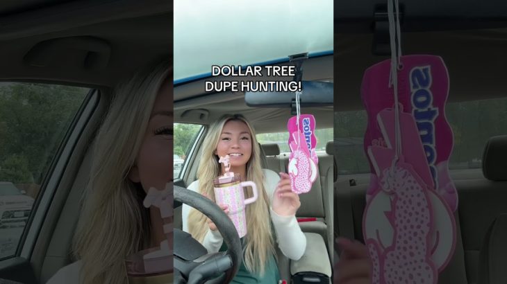 dollar tree dupe hunting *beauty finds* #shopwithme