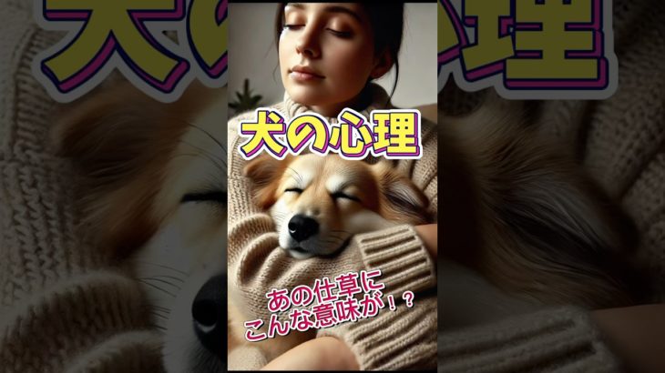 犬の心理　あの仕草にこんな意味が？！　#shorts#犬#ペット#わんちゃん #dog#雑学#bgm#ai