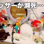 【お掃除動画】ドレッサーが汚すぎでメイクしてもブスが止まらない！
