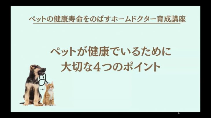 ペットが健康でいるために大切な４つのポイント
