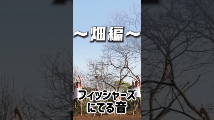 フィッシャーズのにてる音