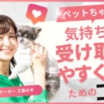 ペットちゃんの気持ちを受け取りやすくするコツ