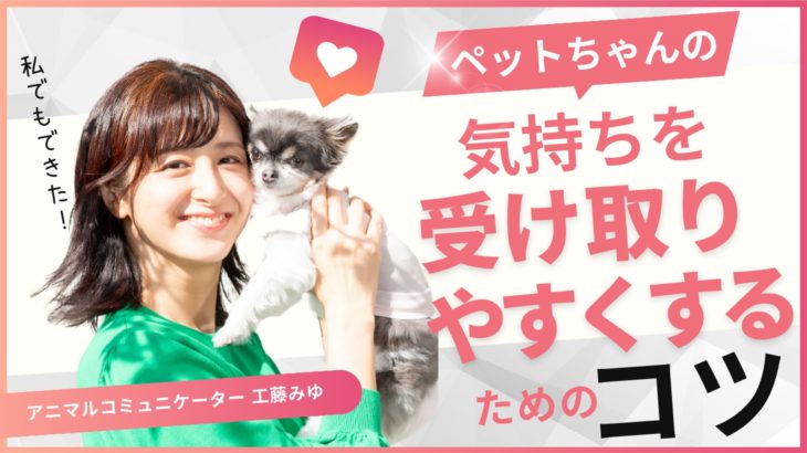 ペットちゃんの気持ちを受け取りやすくするコツ