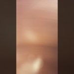 マナル隊、フィッシャーズ、ミスタービーストでチャンネル登録者数がどんどんふえてくやつをとりました！