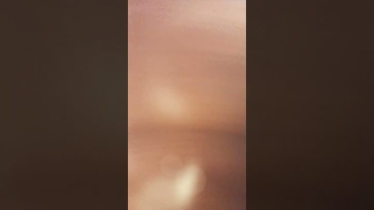 マナル隊、フィッシャーズ、ミスタービーストでチャンネル登録者数がどんどんふえてくやつをとりました！