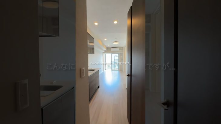 貯金0円で住める好立地でペットも飼える1LDK金南向きで築浅です【No44】＃不動産 #ルームツアー＃節約#物件探し＃港1X8-91