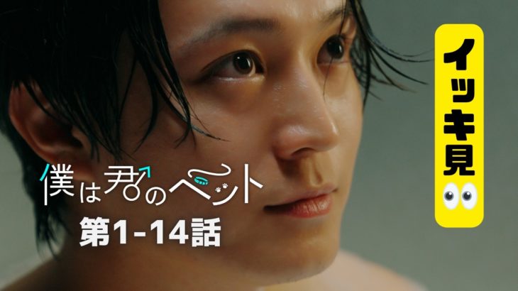 第1-14話『#僕は君のペット』イッキ見｜#スワイプドラマ で独占配信