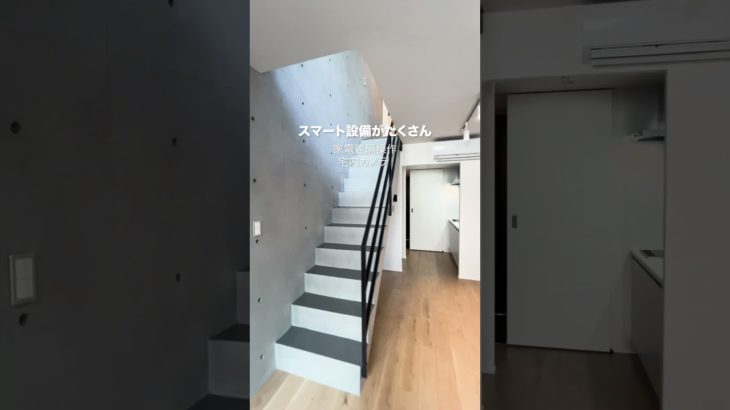 穴場の文京区で新築、ペット可嬉しいですね😊広々1LDKなので、二人暮らしにも最適です！ #不動産 #東京物件 #ルームツアー #東京アパート