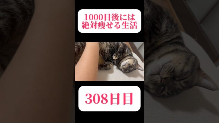 #2024年11月5日 #ダイエット #ダイエット308日目  #138キロからの挑戦 #マイナス29.4kg #マイナス29kg達成 #30代ダイエット