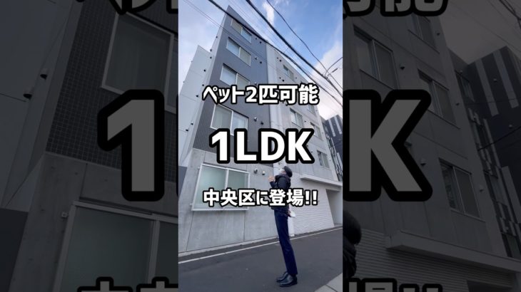 【札幌お部屋探し】ペットが2匹可能な1LDKが中央区に登場!!#札幌不動産 #札幌 #札幌一人暮らし #札幌お部屋探し #株式会社トップセンス