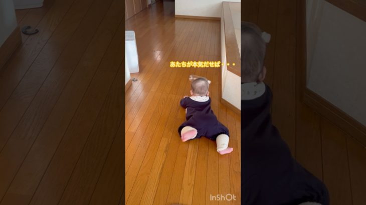 ペットボトルを取ろうとした結果•••#生後6ヶ月 #ズリハイ#赤ちゃん #赤ちゃんのいる生活 #諦めないで