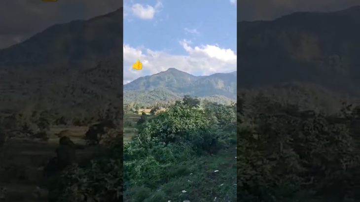 Natural Beauty of Nature 🌿🍃in Assam #Assamtrainjourney #trainjourney #northeastindia #shorts #viral