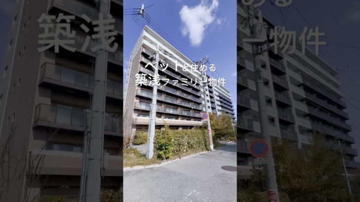 【No.602】ペットと住める築浅マンション #不動産 #分譲賃貸マンション # #ルームツアー