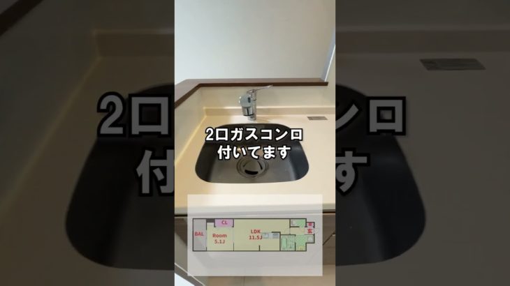 【#物件紹介 】呉市阿賀中央にあるペットOKの人気1LDKがめちゃくちゃいい！#shorts #賃貸