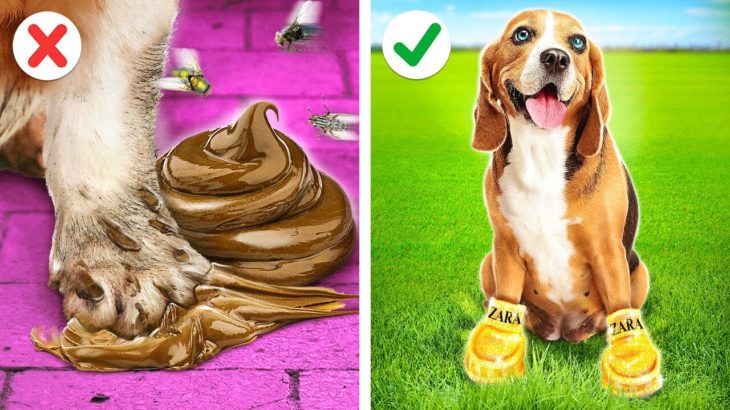 RICH VS POOR PET GADGETS || Hacks by 123 GO! GLOBAL