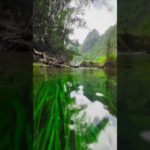 The beauty of nature #shorts #satisfying