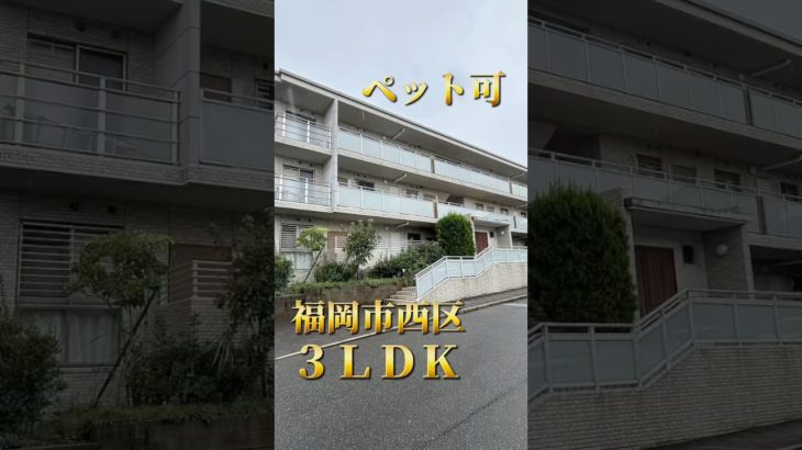 希少なペット可３ＬＤＫマンション‼️お早めに✨ お問い合わせは【ＨＰ】https://fukuoka-online-fudousan.com/【TEL】092-400-0240