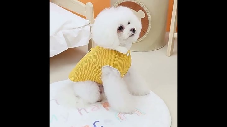 pet523　新作 ペット服 ペットベスト コーデュロイ 裏ボア もこもこ ファー 可愛い Dカン 犬猫 ペットウェア