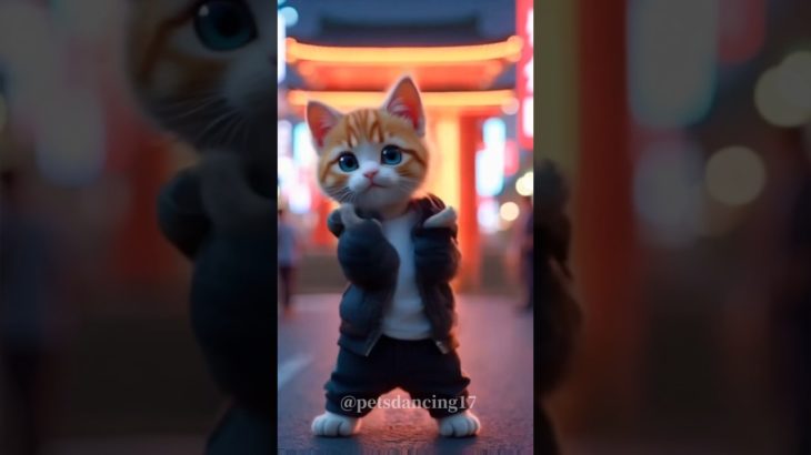 ダンシングヒーロー #荻野目洋子 #petdance #catdance #cat #ペットダンス #dance #pets