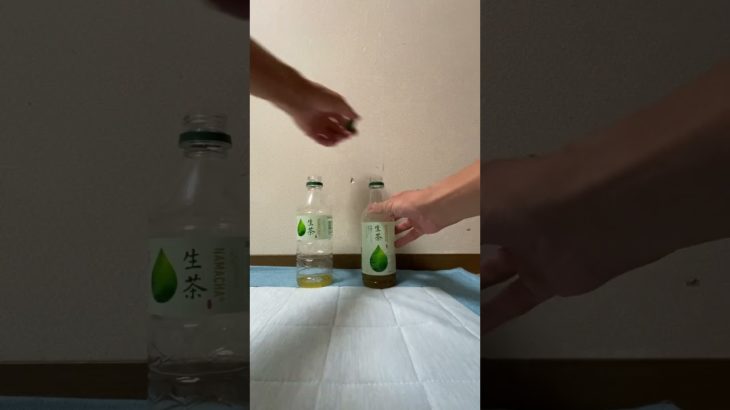 長いラベルが貼られた生茶のペットボトルのお茶を少し短いラベルが貼られた生茶のペットボトルに移す　#plasticbottle