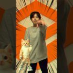 【頭から離れない】#shorts #ペットダンス #踊ってみた #猫ミーム