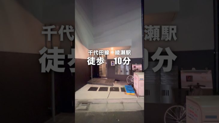 ペットと一緒に可愛いお部屋に住みたくないですか⁉︎#shorts #ルームツアー #内見 #不動産 #お部屋紹介 #賃貸 #綾瀬 #ペット #ペットのいる暮らし #マグロ不動産 #ゴールデン岡ちゃん