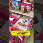 サンキでペット用品が激安で爆買いしちゃった🤩🤩