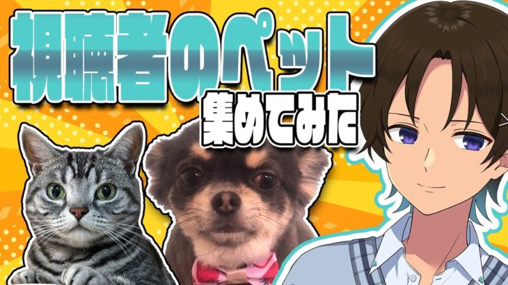 【#ニート部配信中】ニート部視聴者のペット自慢大会開催中！！みんなでほっこりしよう～