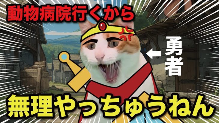大切なペットが体調をくずしてしまったので魔王を倒しにいけない勇者【猫アニメ】【コント】