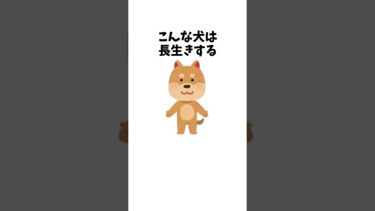 こんな犬は長生きする　 #犬 #ペット #雑学