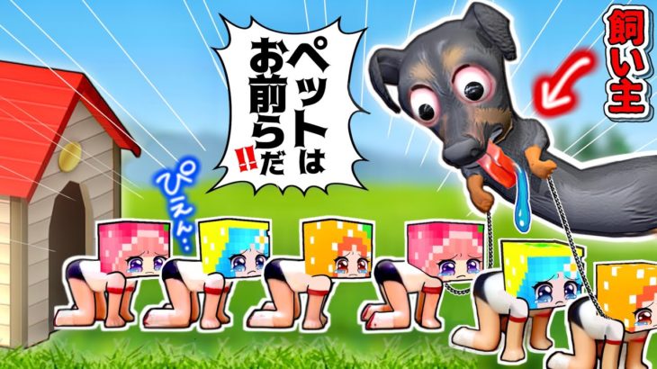 【もしも人間とペットが逆転したら….】地獄の生活？入れ替わりマインクラフト(#ぴこみんず)悪徳業者ブリーダーは大きらい！