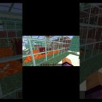 ペットショップ紹介！