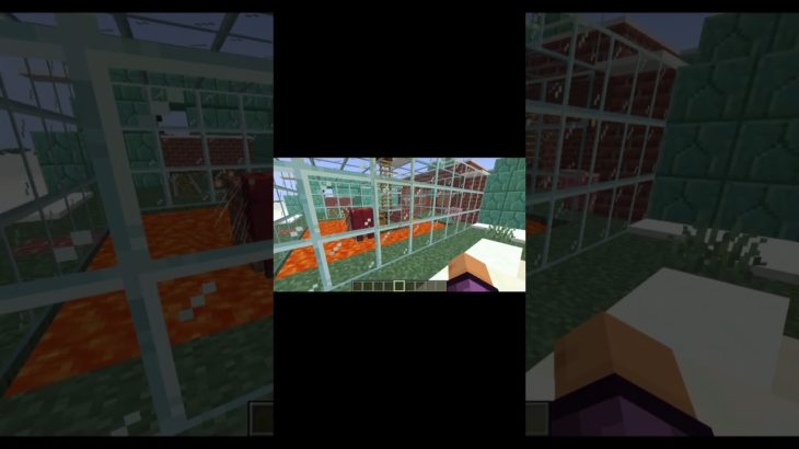 ペットショップ紹介！