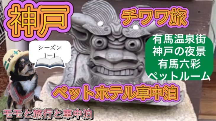 チワワとペットホテルと車中泊。神戸掬星台の夜景と有馬。有馬六彩ペットルーム泊。