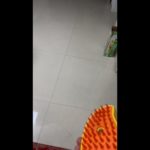 ペットがとても気に入っていて、毎回使うのが楽しみです！