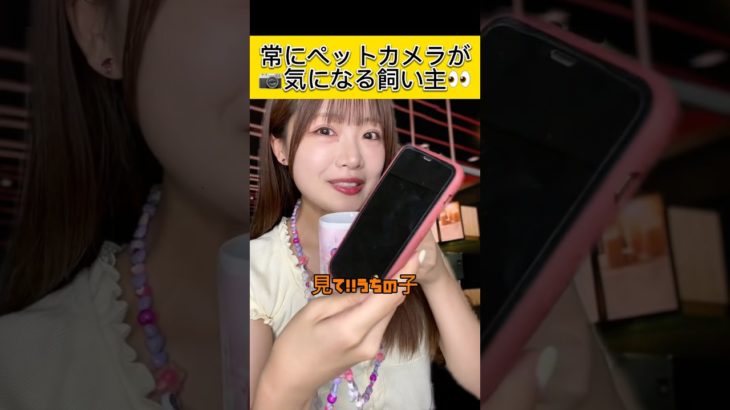 ペットカメラ設置したら外出中気になって常に見ちゃうwww #tiktok #shorts