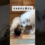 顔面整形チャレンジ忘れてたのに、、、？！　#ダイエット #垢抜け #100日チャレンジ #美容