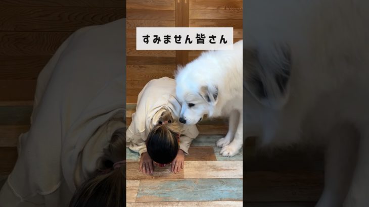 顔面整形チャレンジ忘れてたのに、、、？！　#ダイエット #垢抜け #100日チャレンジ #美容