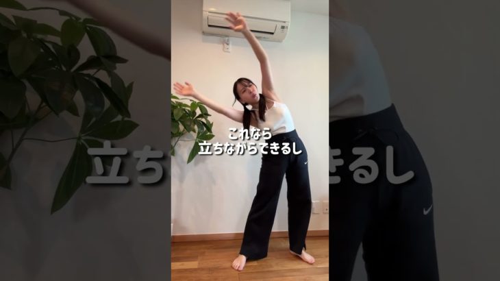 【これやったらくびれハッキリした】#腹筋 #ダイエット #痩せる #ダイエットビフォーアフター #くびれ #100日後に痩せる #カリナ