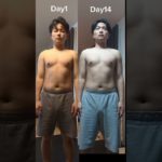 【ダイエット記録14日目】動画に載ってない種目も色々やってるんだからね！#ダイエット記録 #宅トレ