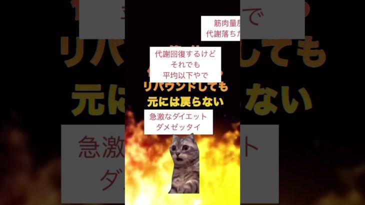 2024年にダイエットの常識が変わった新情報ベスト10 #猫ミーム #猫マニ #ダイエット方法 #ダイエット