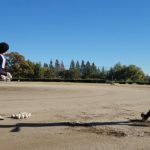 20241130 富士見キングフィッシャーズ　ロングティー