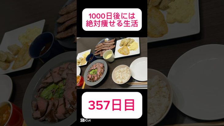 #ダイエット357日目 #138キロからの挑戦 #30代ダイエット #30キロダイエット成功 #現在30.6kgマイナス #2024年12月24日