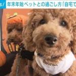 ペットとの年末年始　過ごし方は「自宅で一緒」が9割　心配事なども(2024年12月31日)