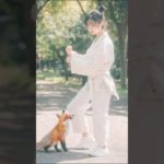 A beauty plays with a fox and fuse with it #americagottalent #magic #funny #dance#fox